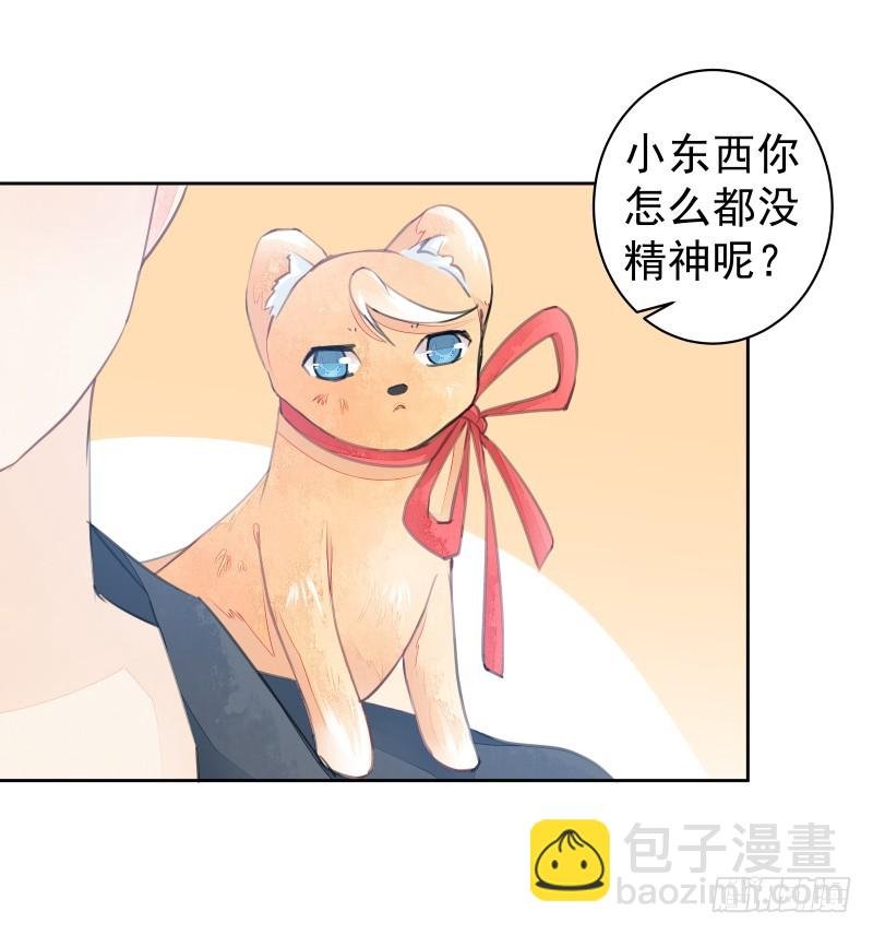 约会？