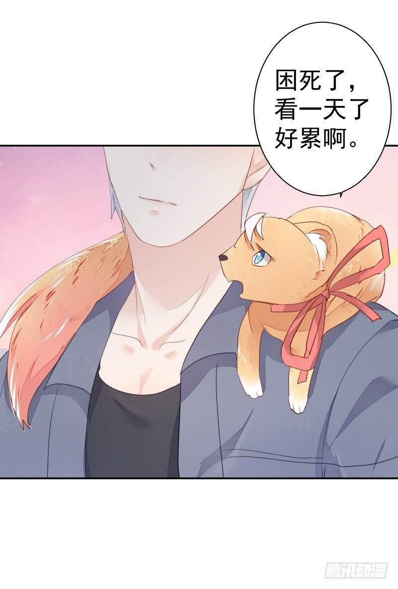 和平会议二