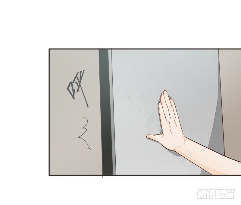 阴谋