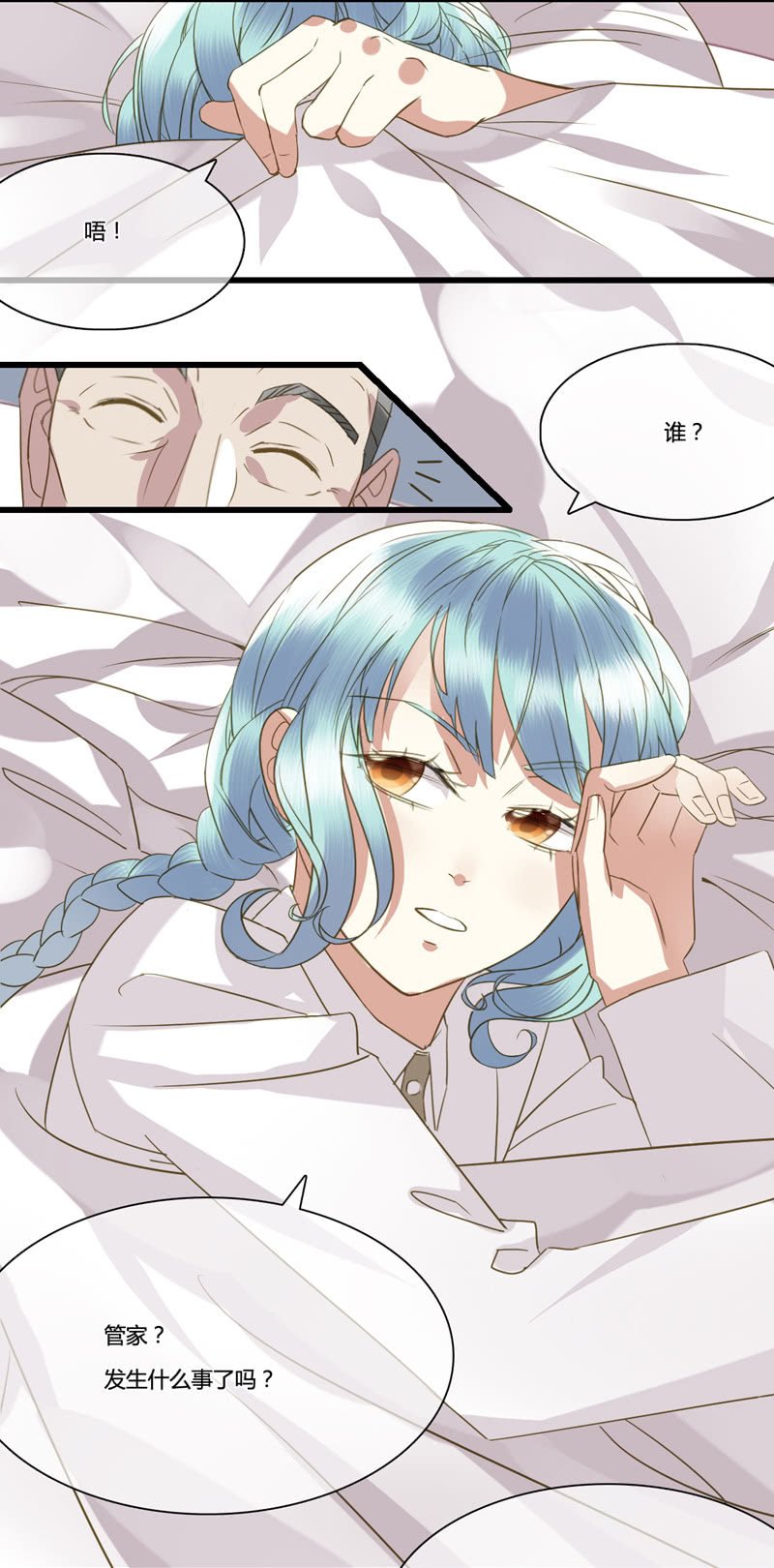 0029-30家猫野猫