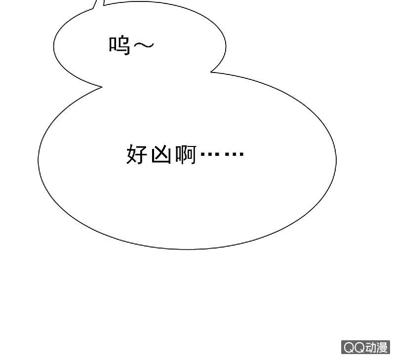 记得把我带回家