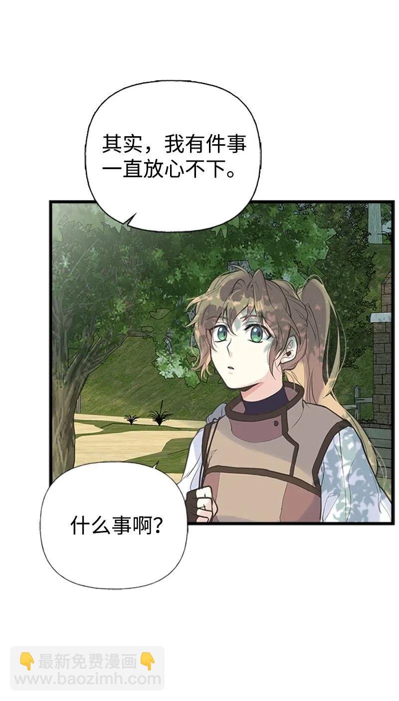 14 皇家骑士团
