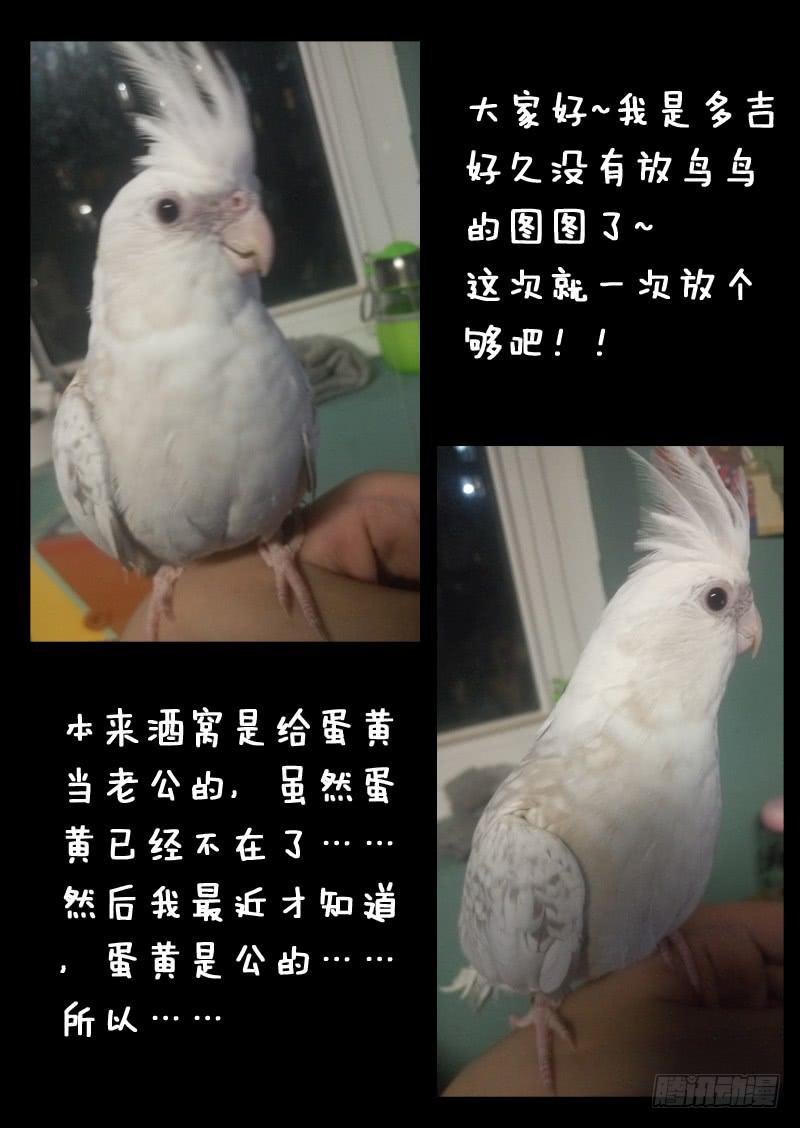 第一一三话