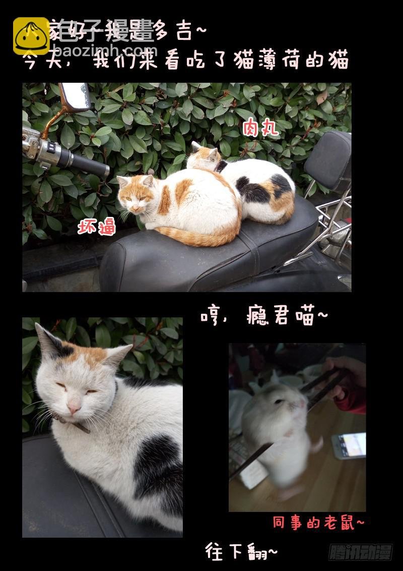 第四话