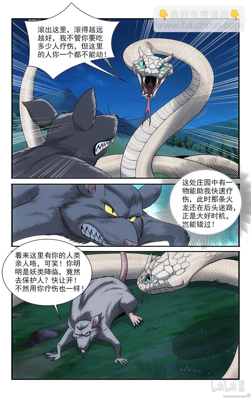 38 白蛇的战斗