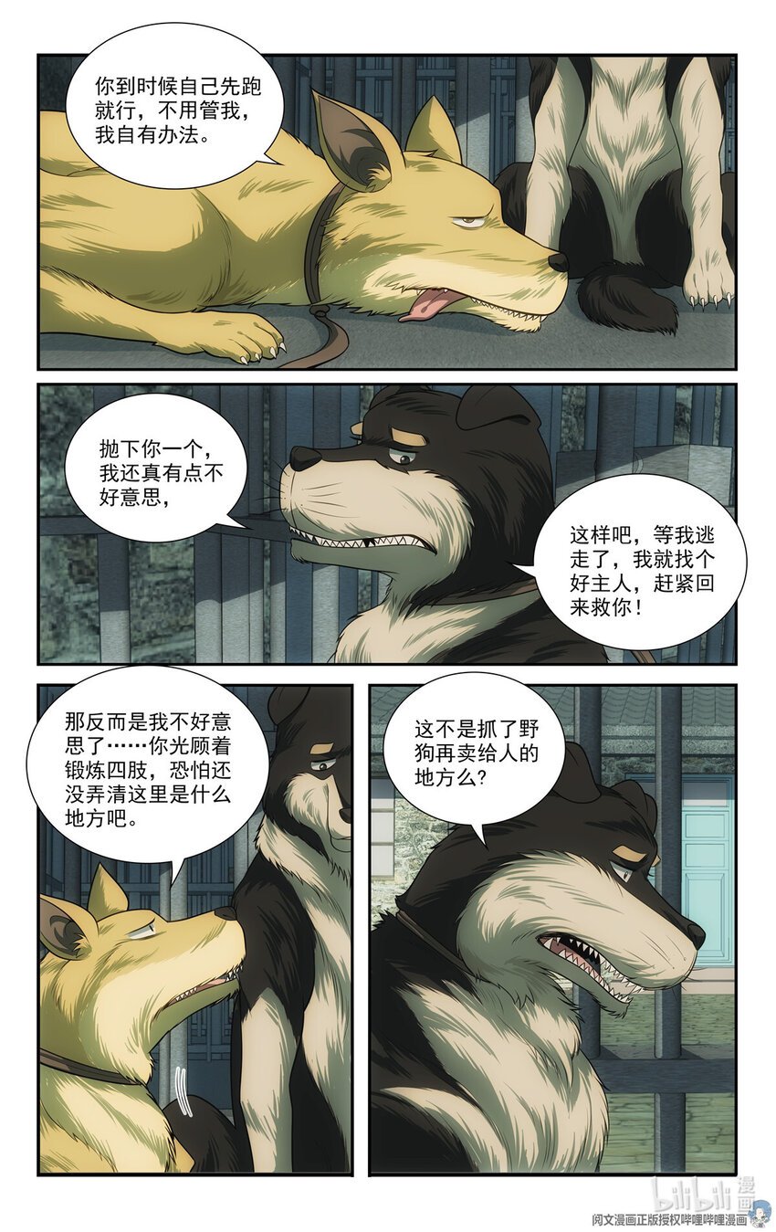 72 智商差