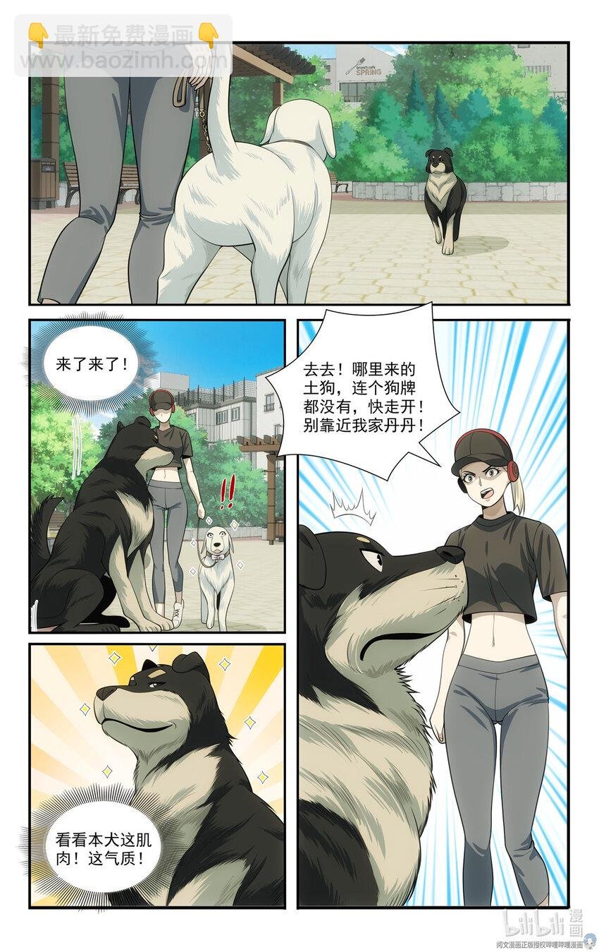 69 两条狗