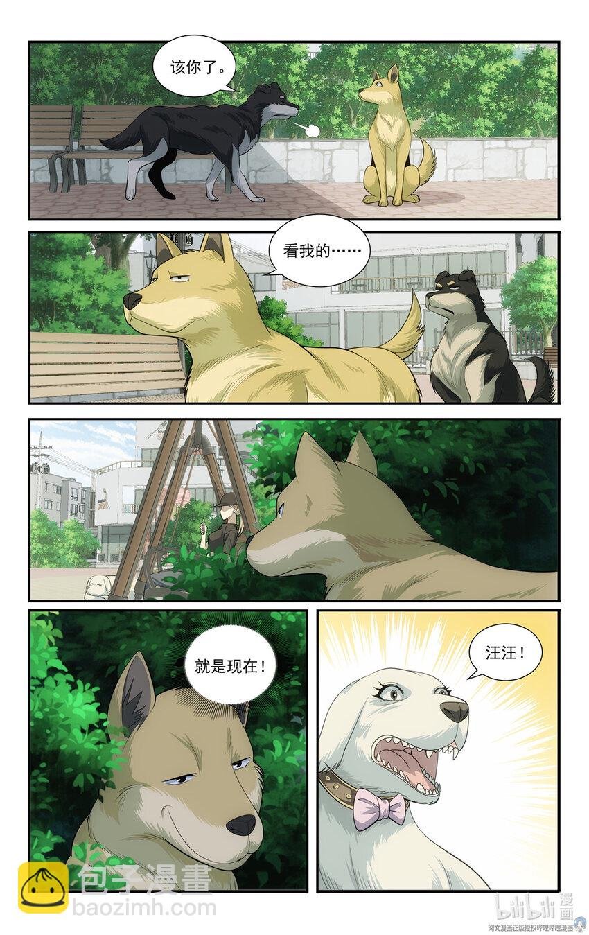 69 两条狗