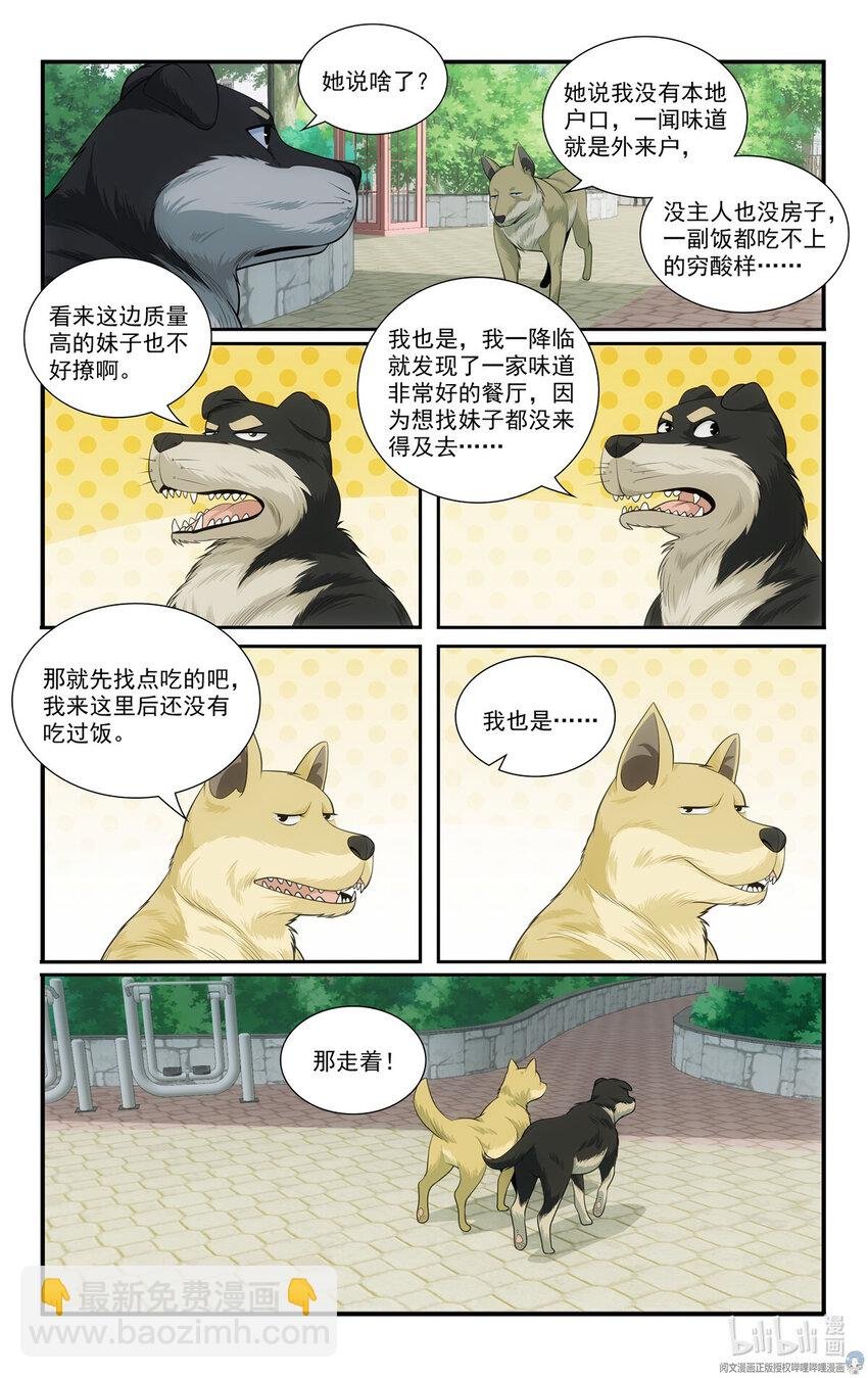 69 两条狗