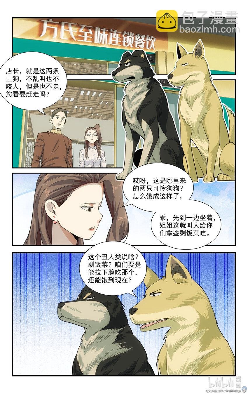 69 两条狗