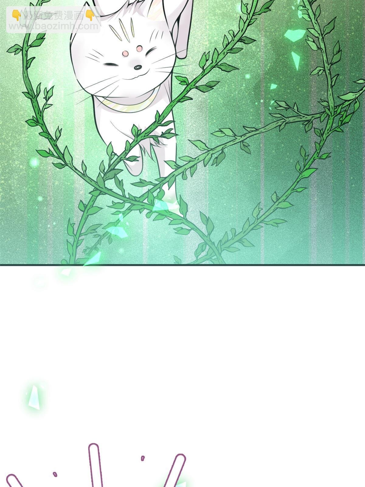 126