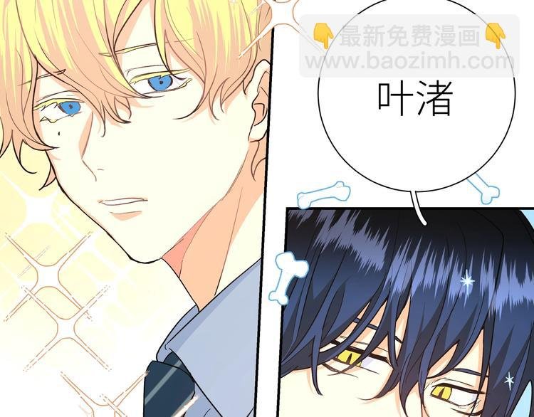第11话 我该选谁？