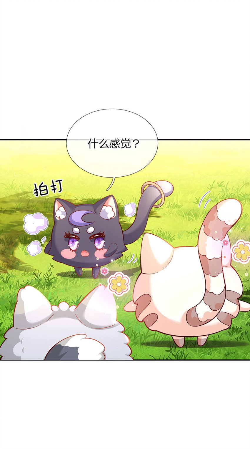 第24话 谁？谁埋了我！