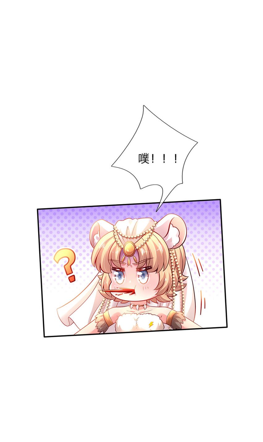 第28话 奶虎的契约小孩