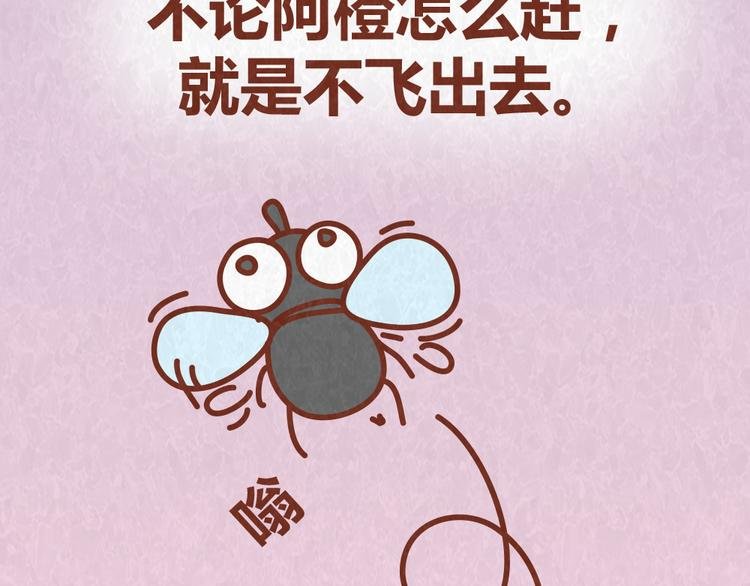 第52话 单身狗的超强愤怒