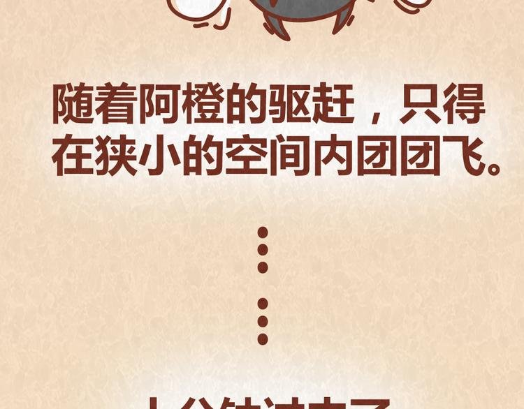 第52话 单身狗的超强愤怒