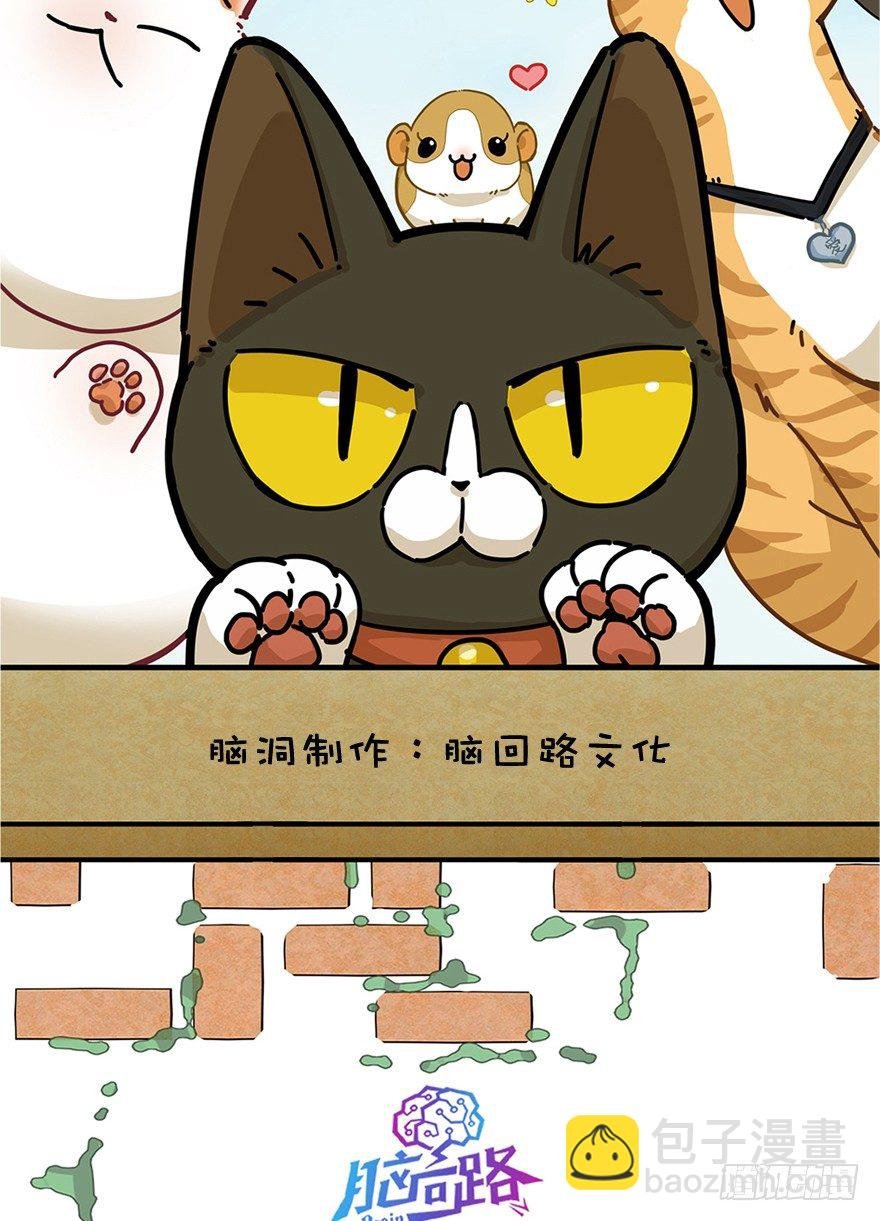 第1爪 猫？猫！