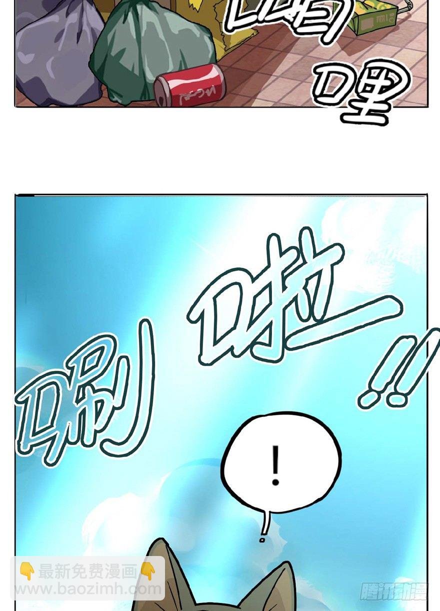 第1爪 猫？猫！
