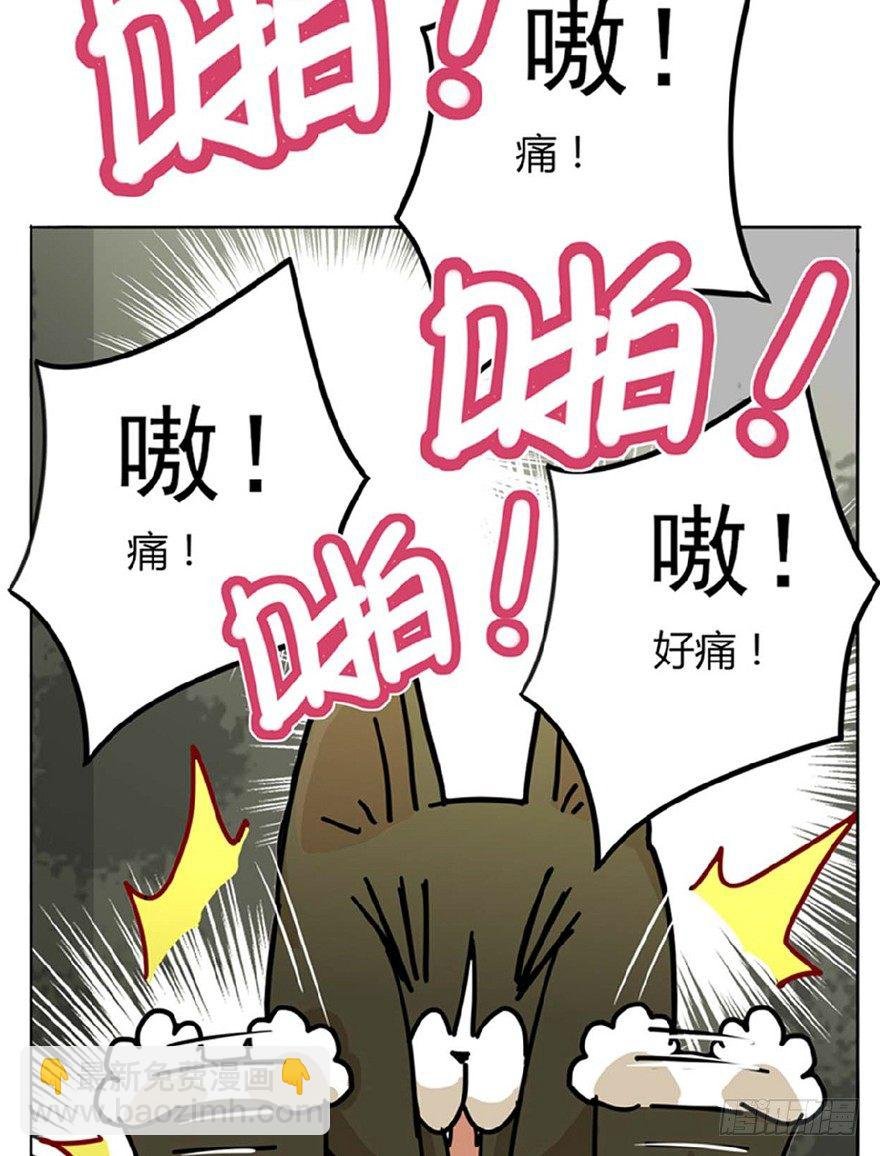 第1爪 猫？猫！