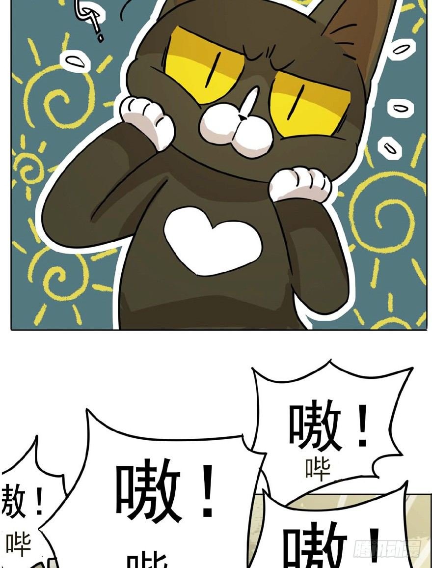 第1爪 猫？猫！