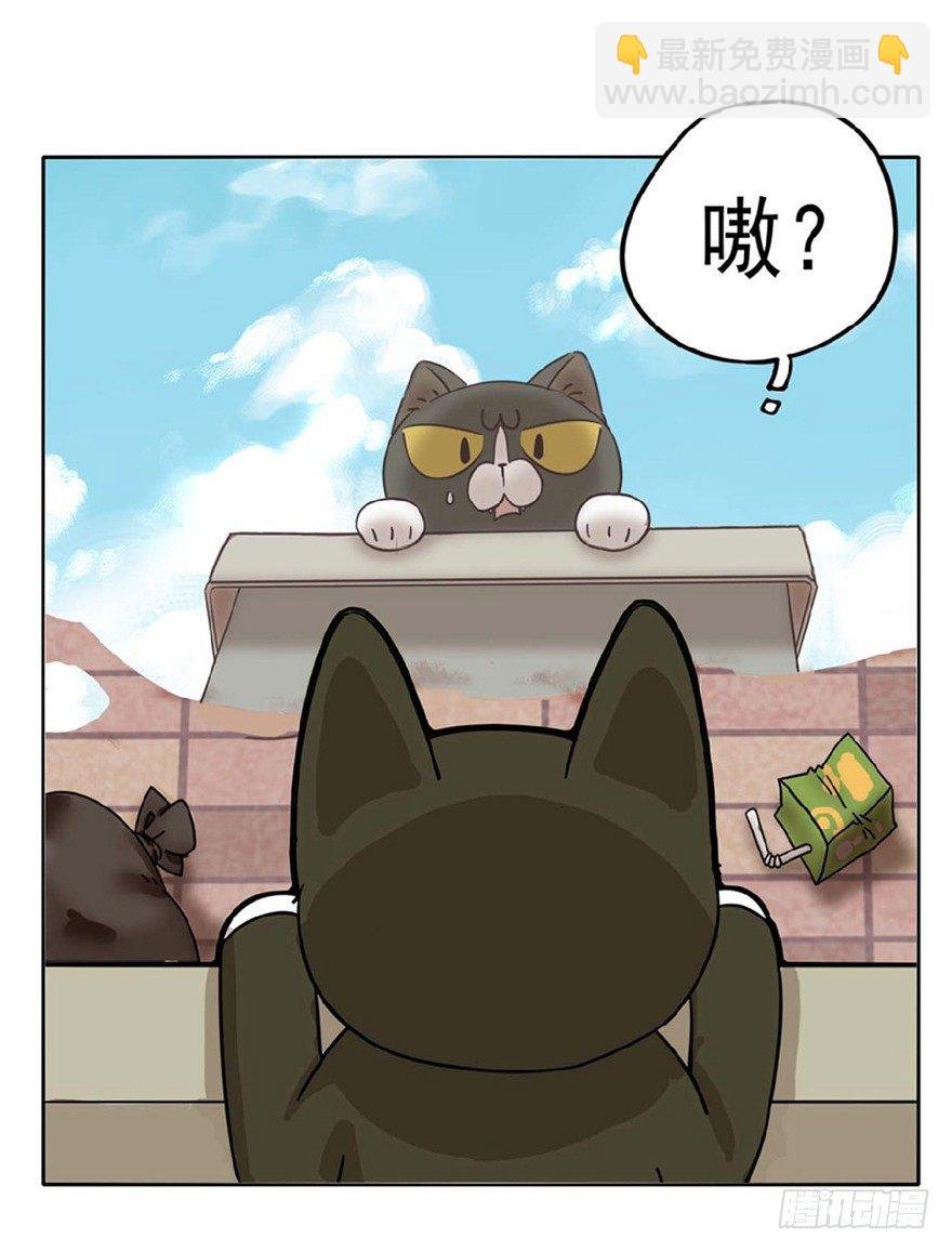 第1爪 猫？猫！