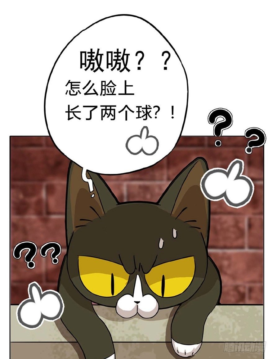 第1爪 猫？猫！