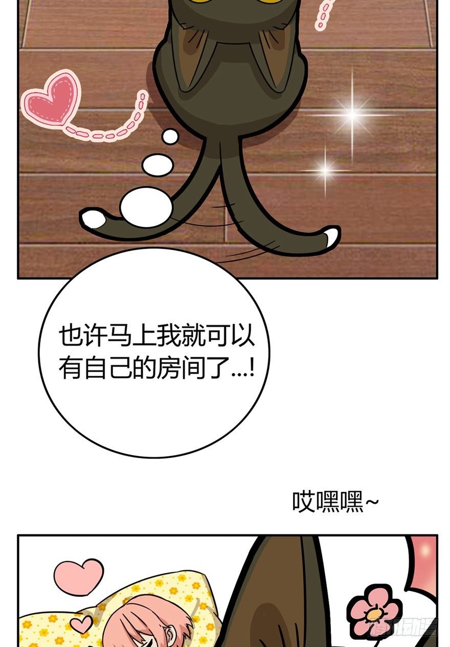 第10爪 你的饭就是我的饭
