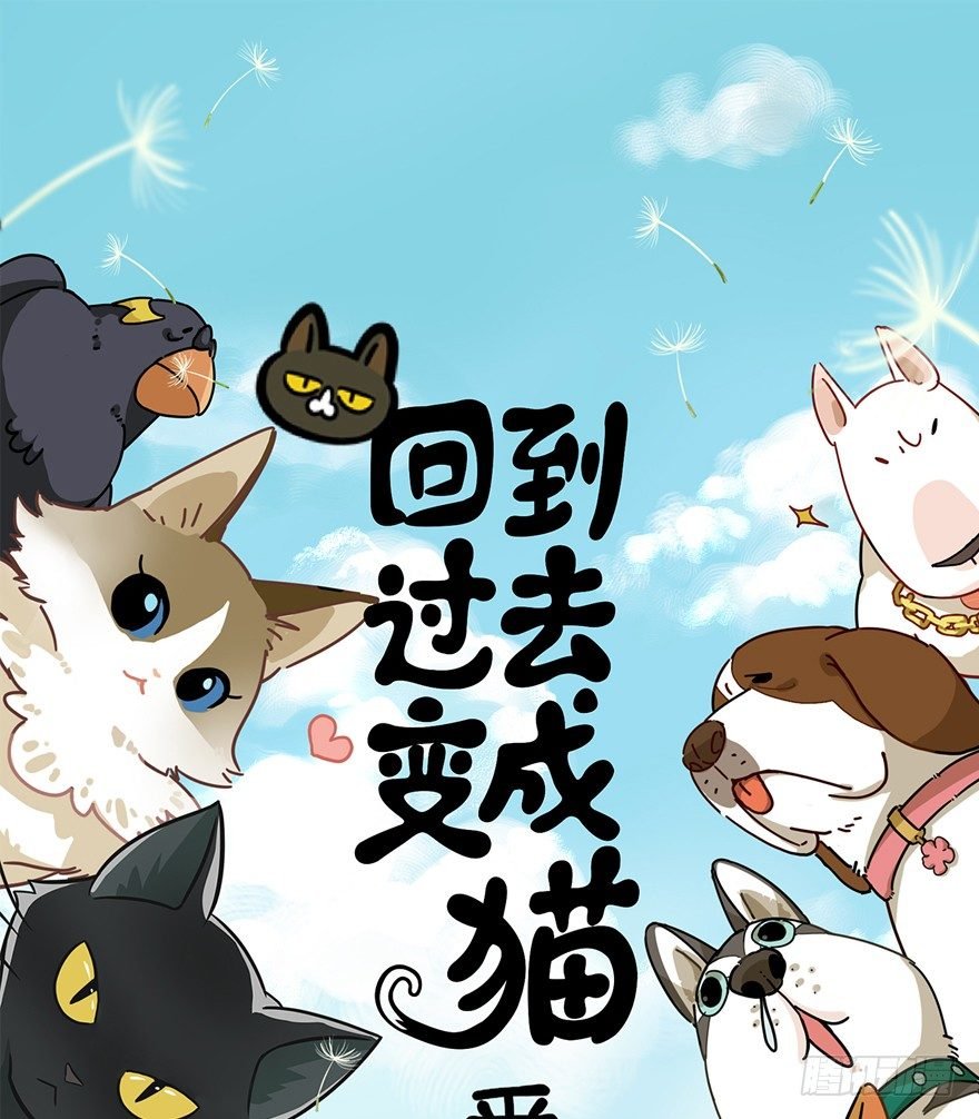 第102爪 抉择（上）