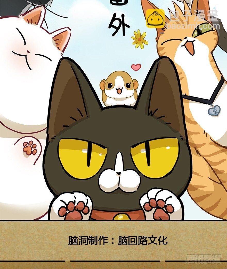 第104爪 下定决心