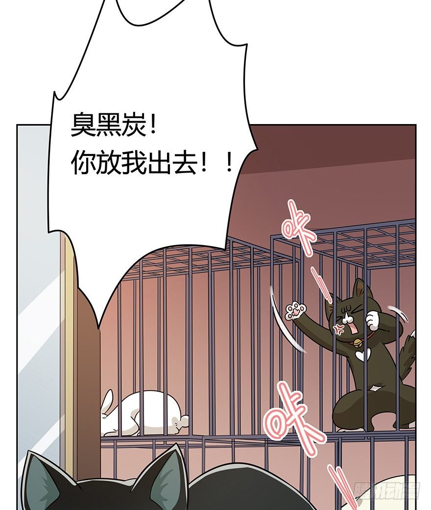 第104爪 下定决心