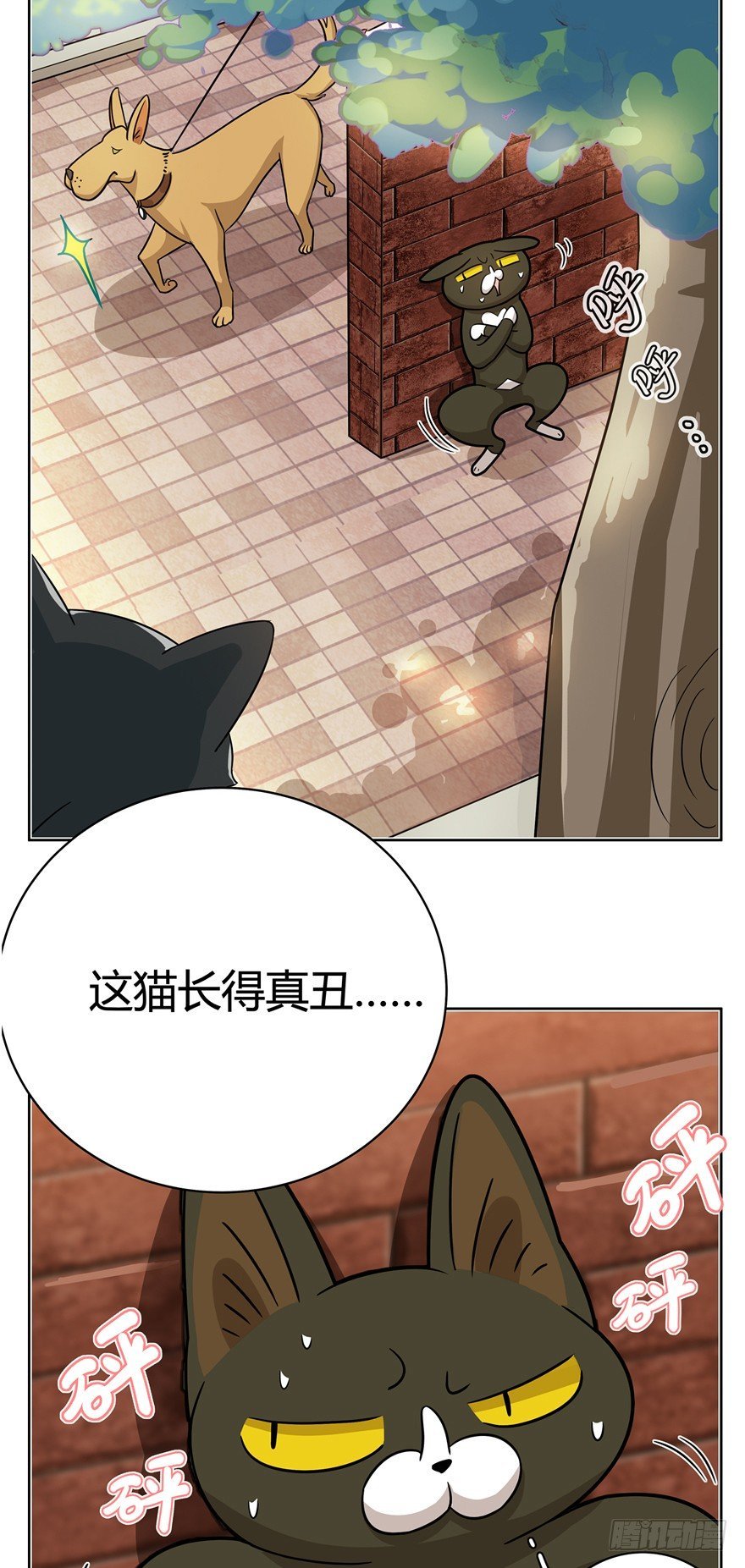 第12爪 番外 神秘的蛋嘴猫
