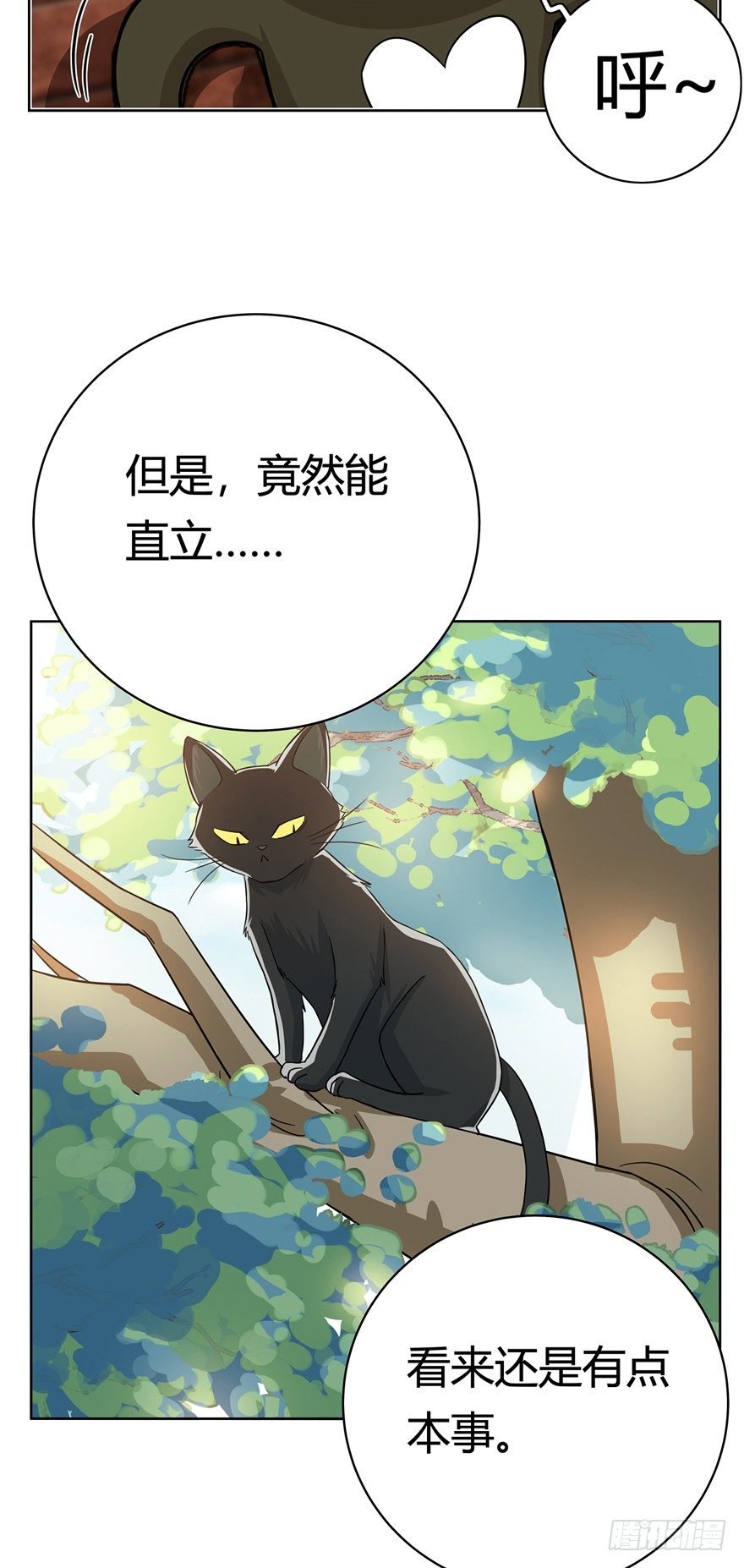 第12爪 番外 神秘的蛋嘴猫