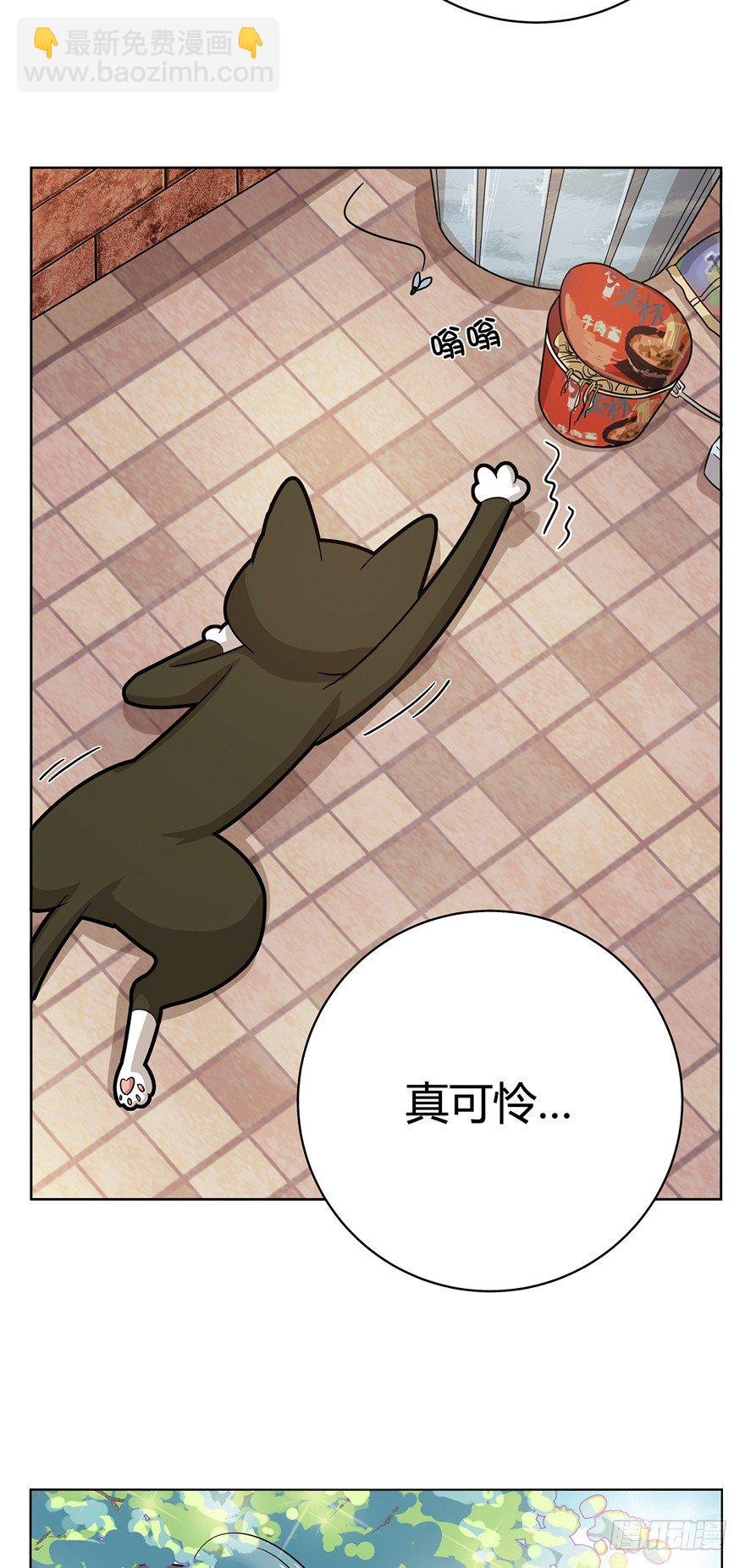 第12爪 番外 神秘的蛋嘴猫