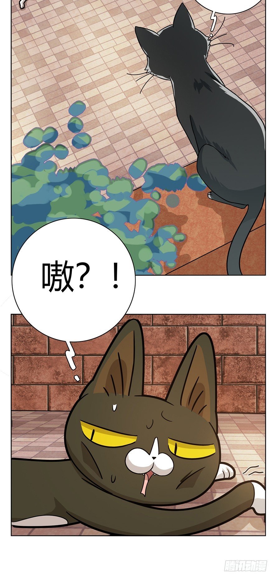 第12爪 番外 神秘的蛋嘴猫