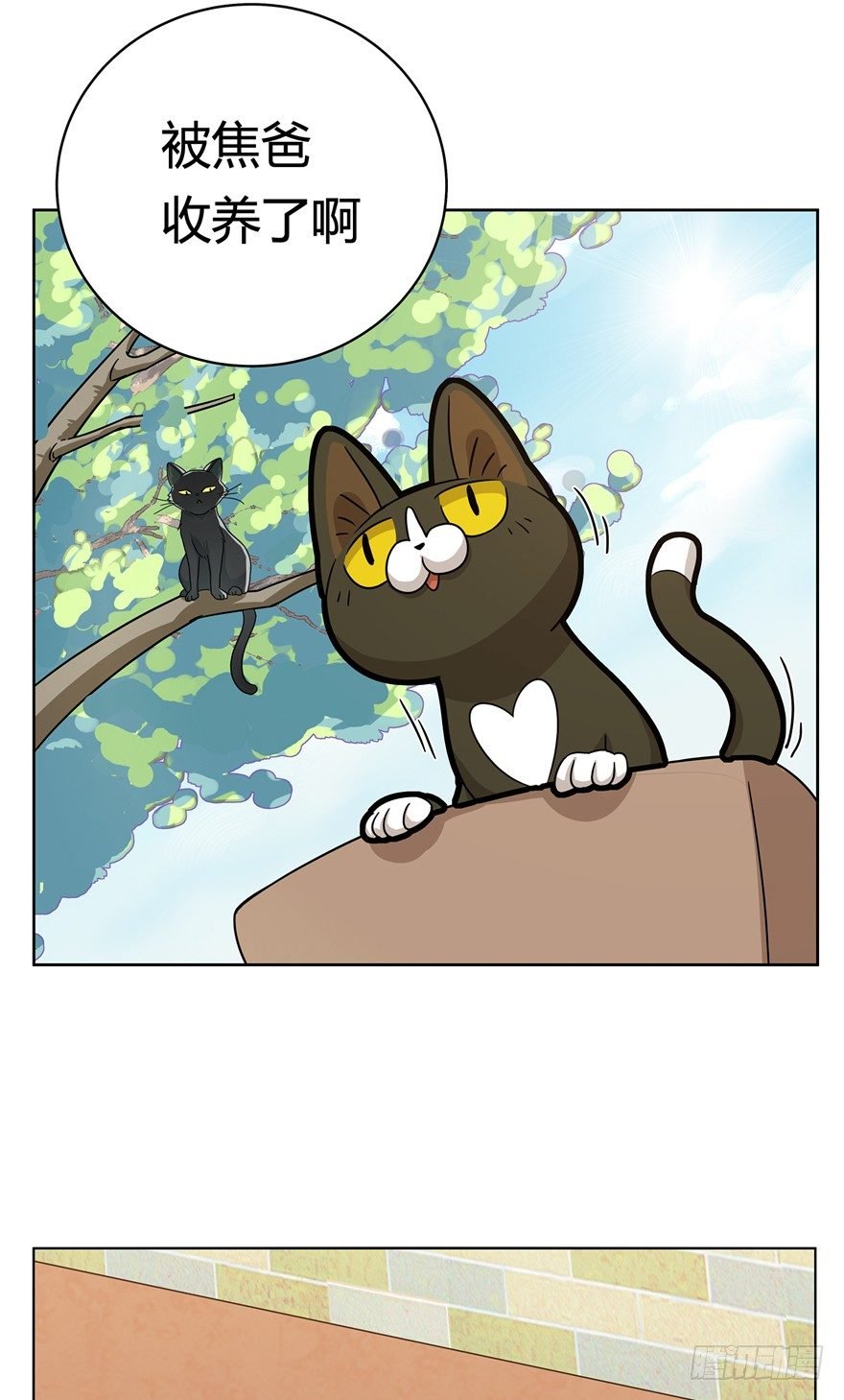 第12爪 番外 神秘的蛋嘴猫