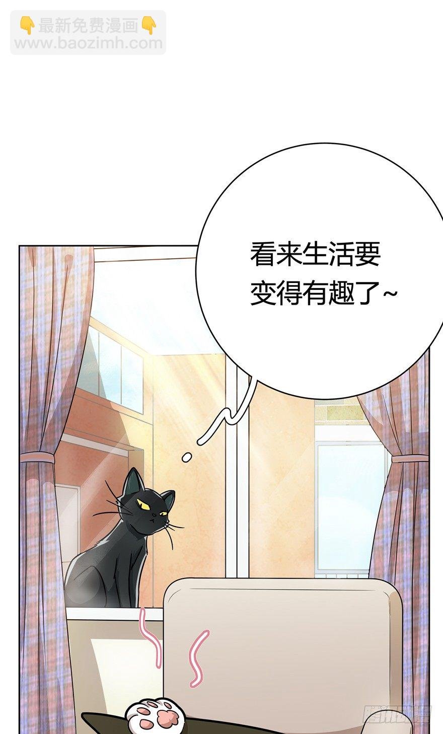 第12爪 番外 神秘的蛋嘴猫