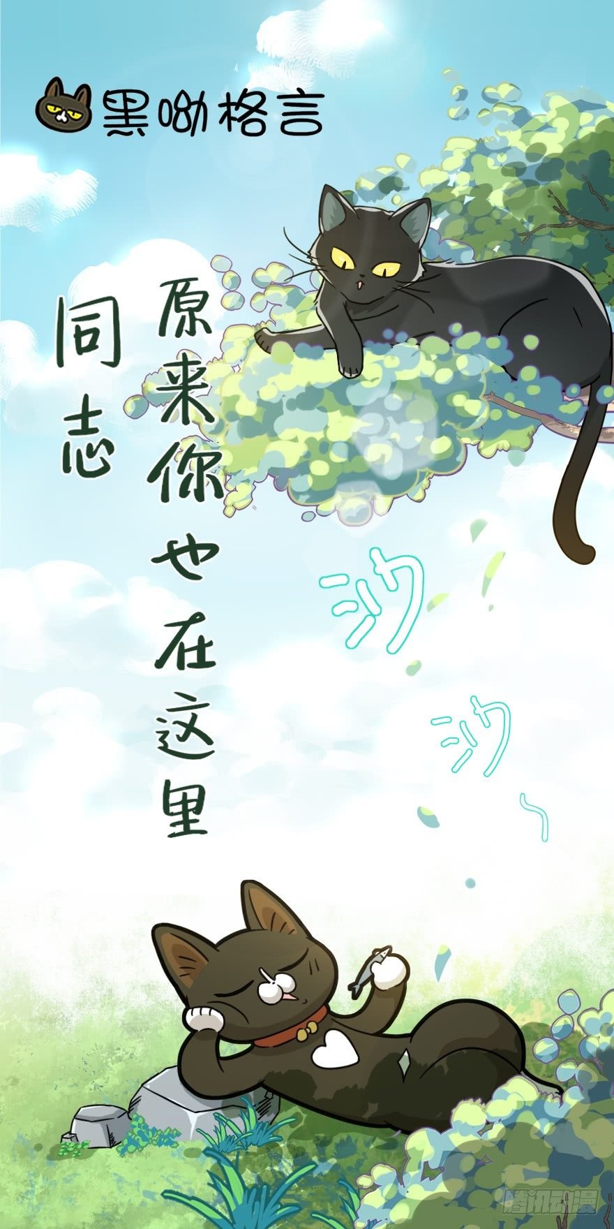 第12爪 番外 神秘的蛋嘴猫