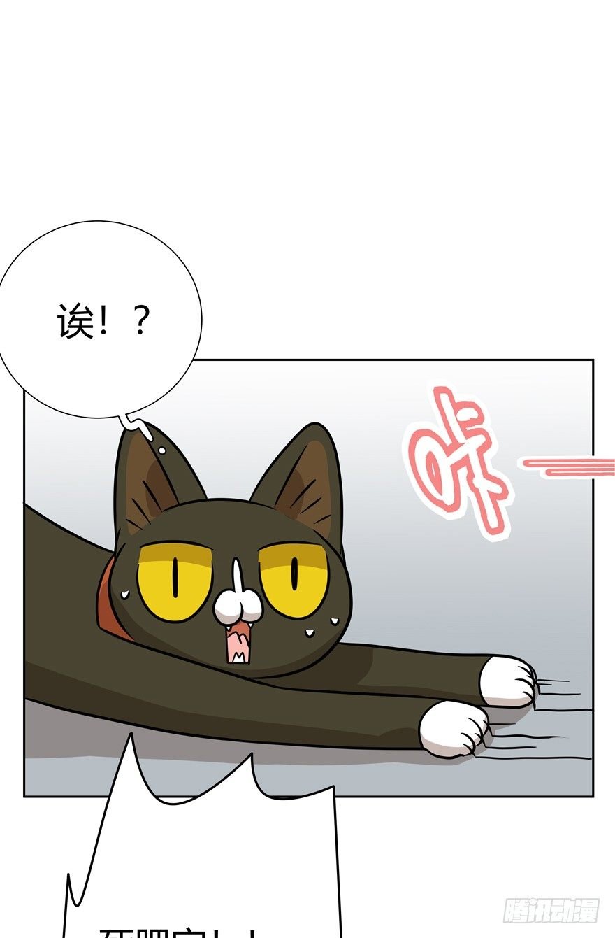 第114爪 敏捷的胖子（下）