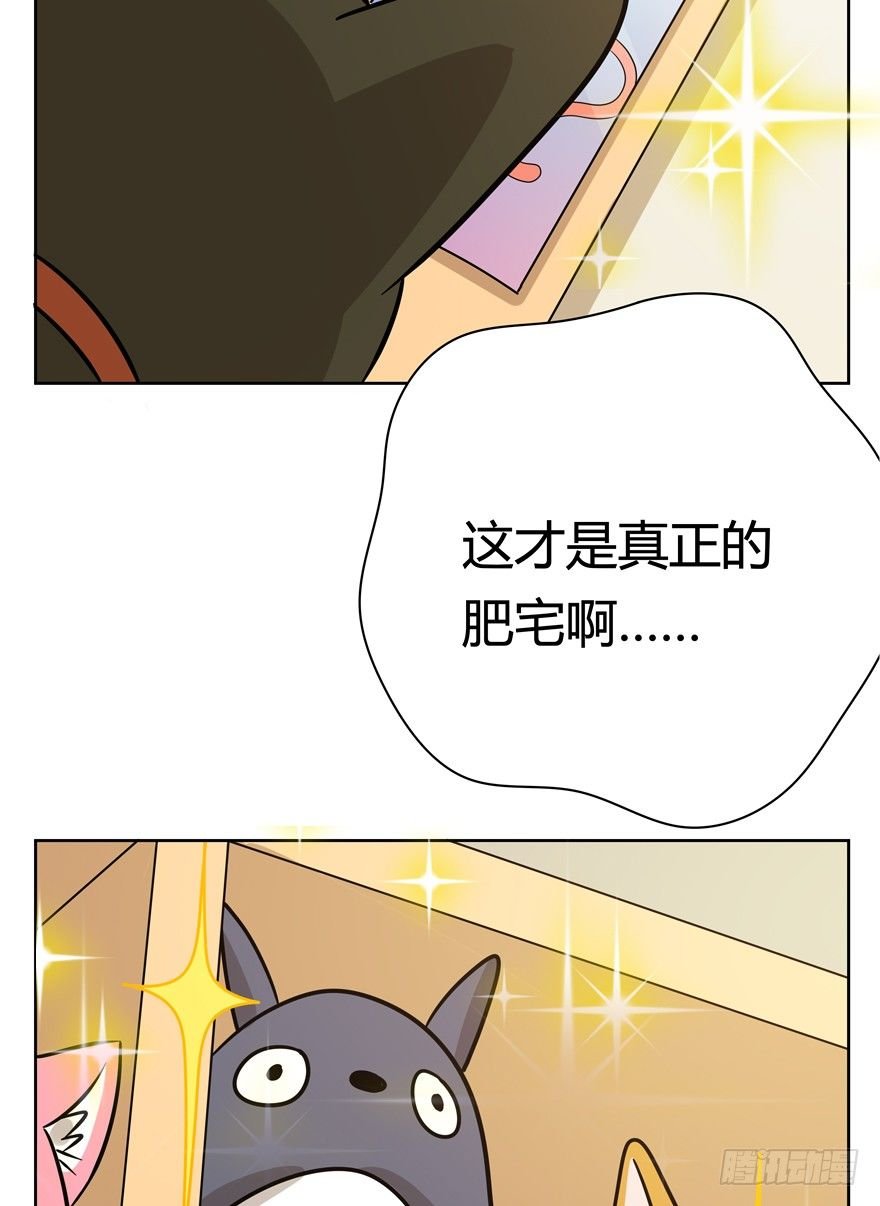 第115爪 意外成名（上）