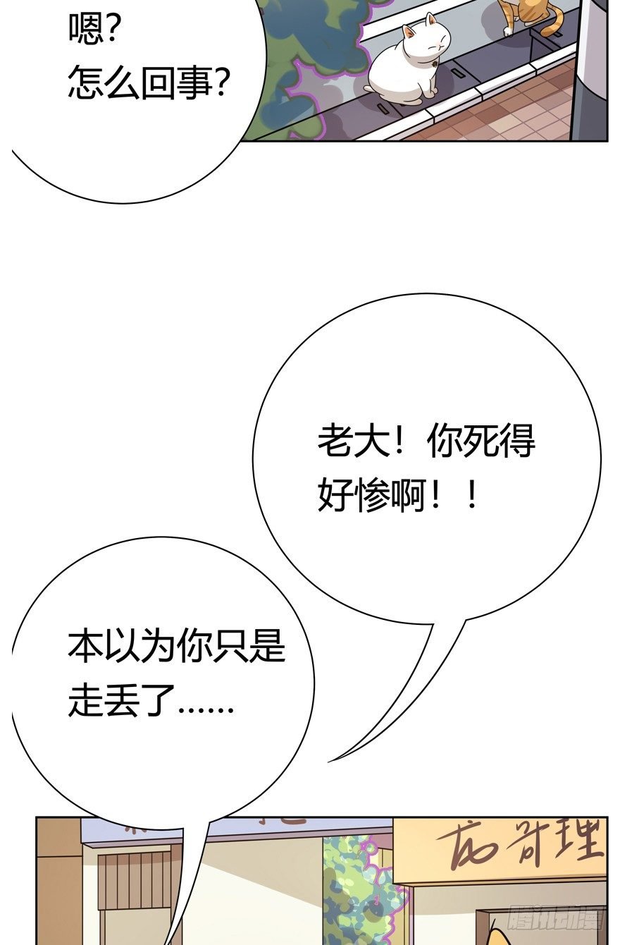第121爪 回马枪（下）