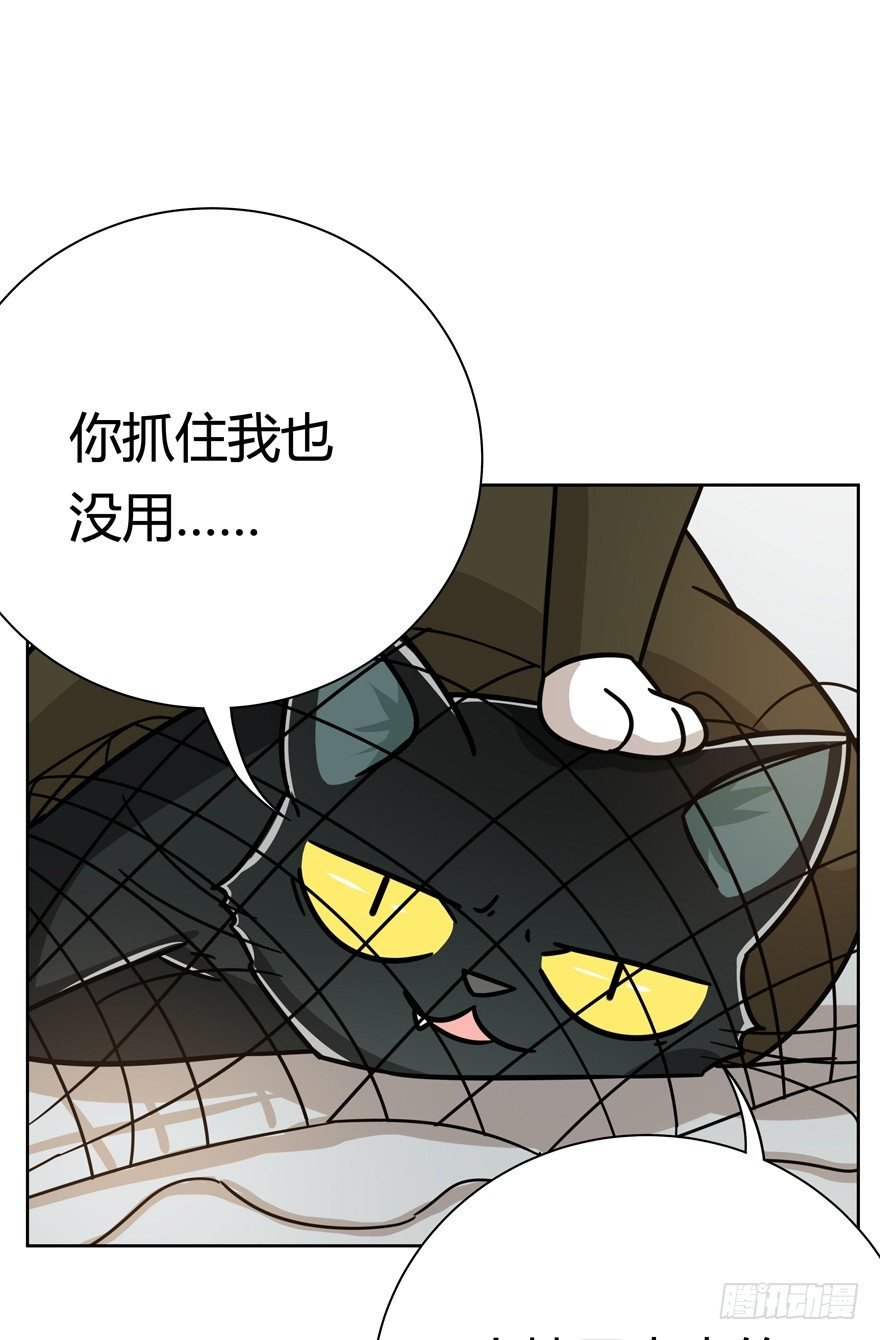 第121爪 回马枪（下）