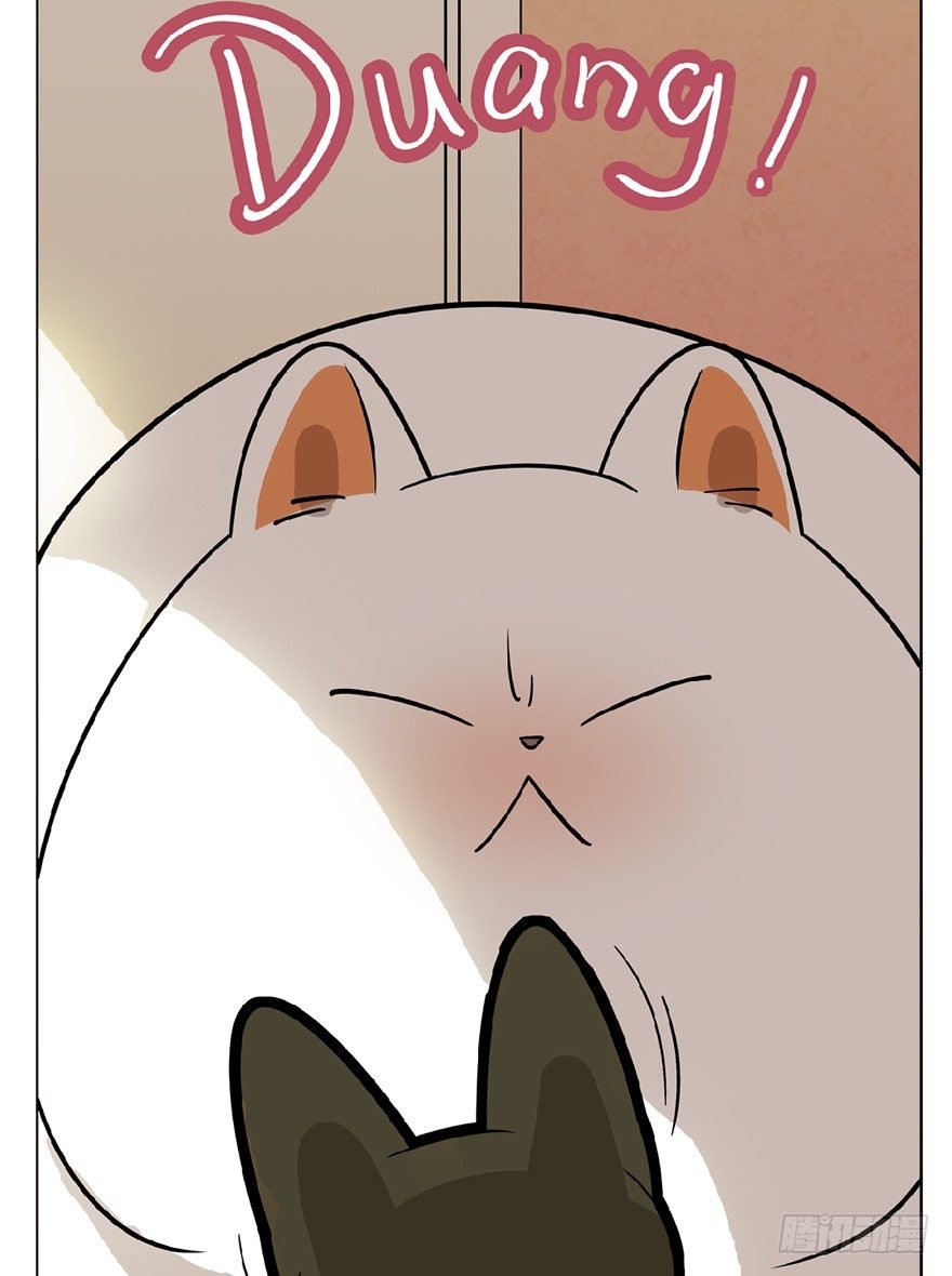 第13爪 怕不怕！