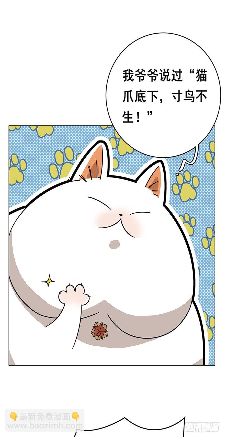 第16爪 是猫就跳100层