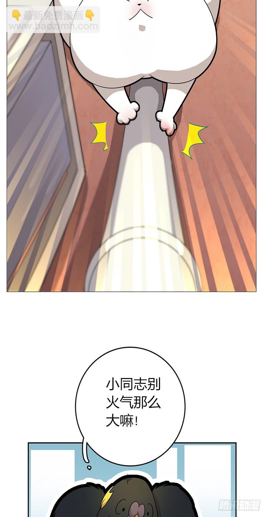 第16爪 是猫就跳100层