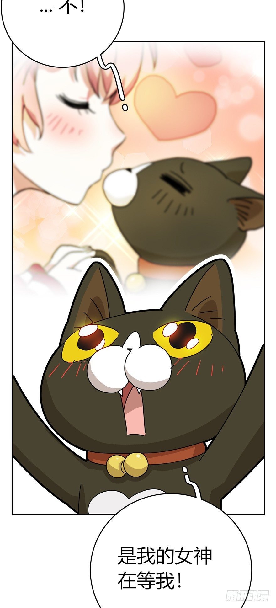 第16爪 是猫就跳100层