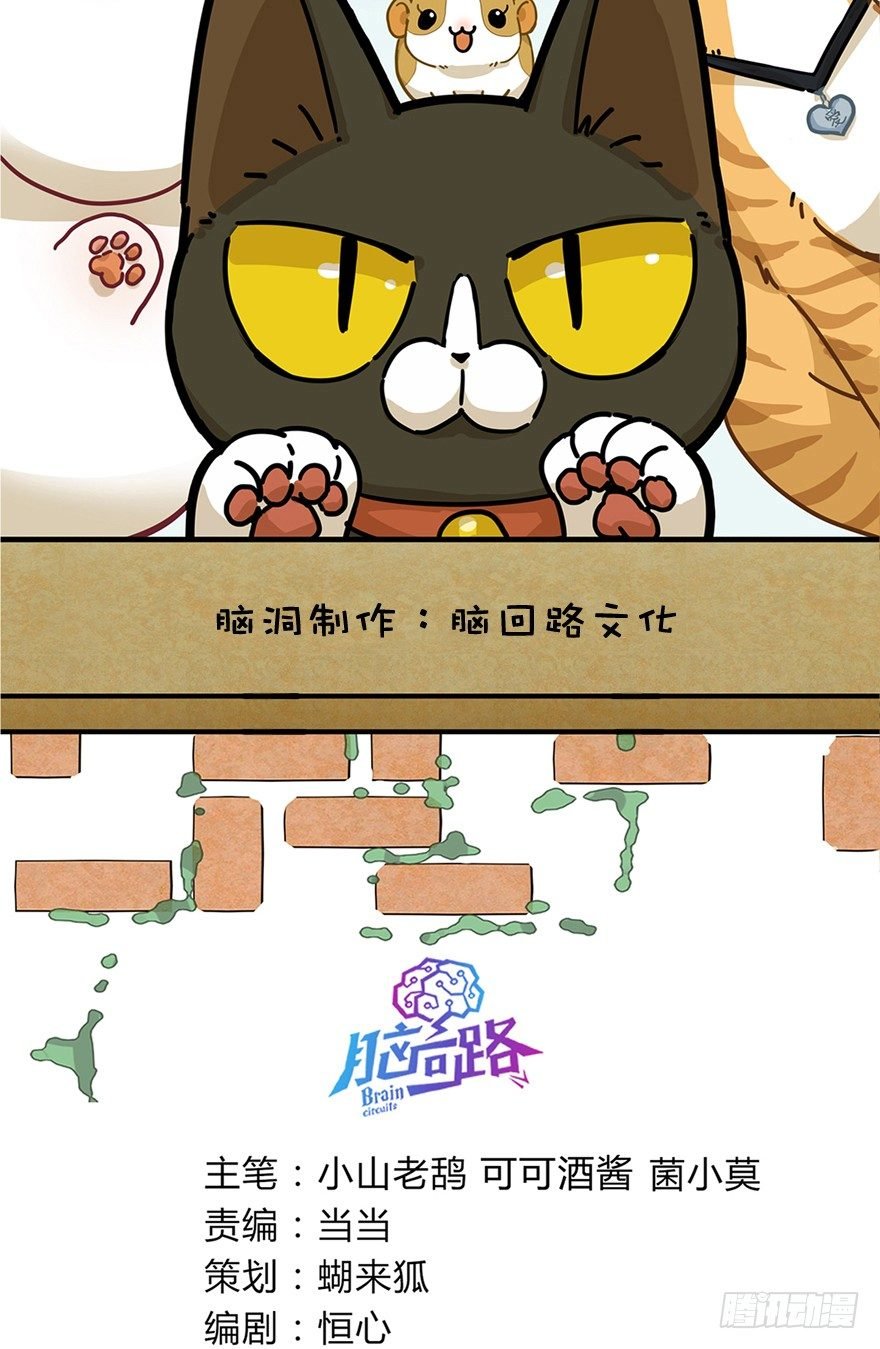 第17爪 猫生赢家（上）