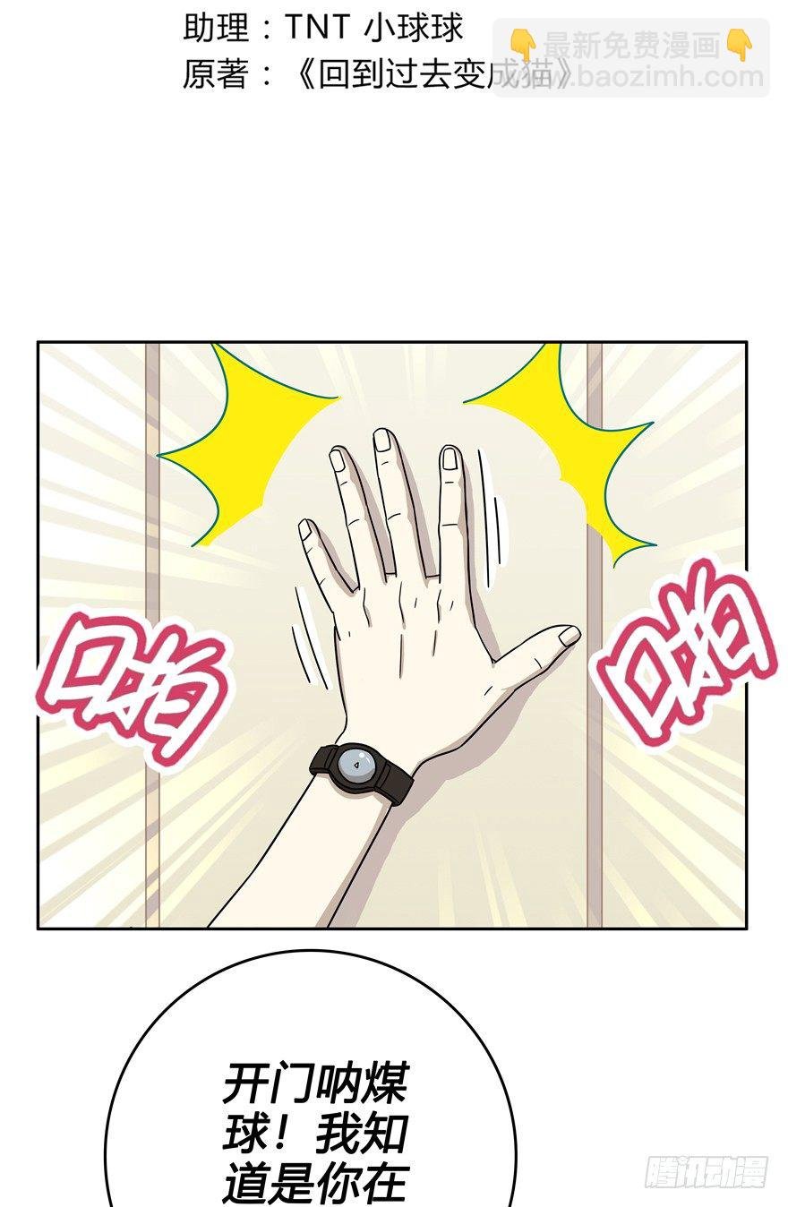 第17爪 猫生赢家（上）
