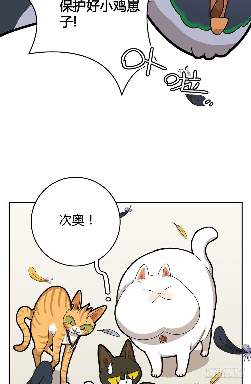 第17爪 猫生赢家（上）