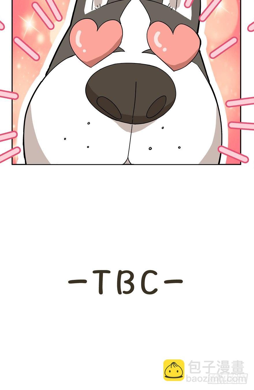 第17爪 猫生赢家（上）