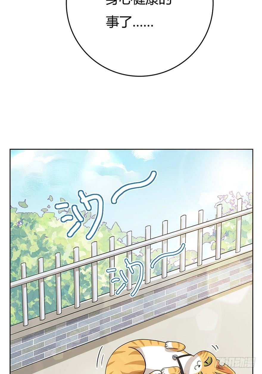 第18爪 猫生赢家（下）
